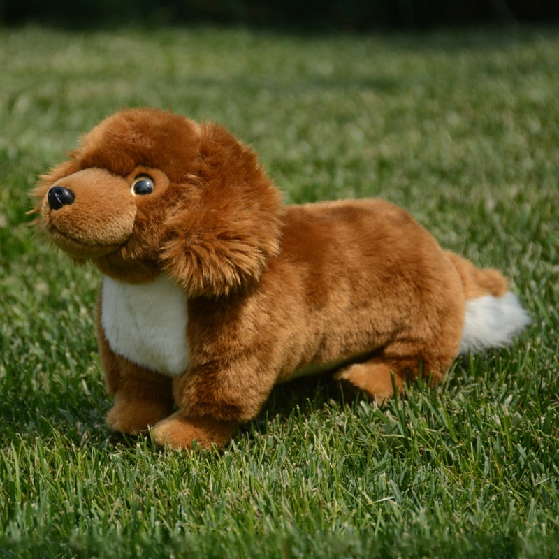 Cutest Standing Long Haired Red Dachshund Stuffed Animal Plush Toy