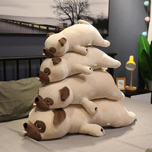 Load image into Gallery viewer, Image of four Pug stuffed animals soft plush toys of diferent sizes lying on the bed