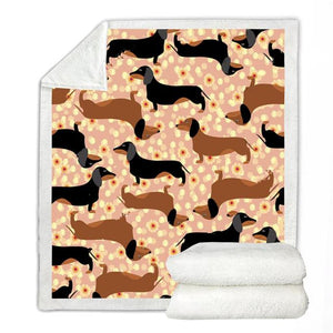 Image of a dachshund blanket with tan and black and tan dachshunds