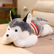 Load image into Gallery viewer, Front image of a super cute Husky stuffed animal plush toy lying on the bed