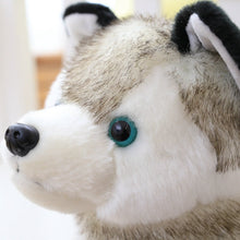 Load image into Gallery viewer, Close face image of a super cute Husky plush toy stuffed animal