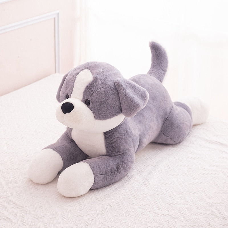 Black and white pitbull deals stuffed animal