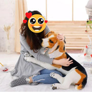 Lifelike Beagle Stuffed Animal Plush Toy-Soft Toy-Beagle, Dogs, Home Decor, Stuffed Animal-10