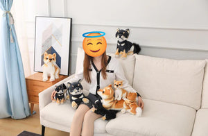 Image of a girl sitting with five Shiba Inu stuffed animal plush toys in four different sizes on the sofa