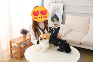 Image of a girl sitting with two Shiba Inu stuffed animal plush toys in orange and black Shiba Inu colors