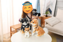 Load image into Gallery viewer, Image of a girl playing with four Shiba Inu stuffed animal plush toys in four different sizes