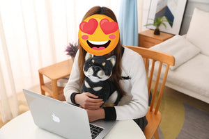 Image of a girl sitting with a black Shiba Inu stuffed animal plush toy