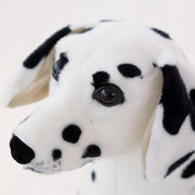 image of a dalmatian stuffed animal plush toy