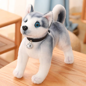 image of an adorable husky stuffed animal plush toy