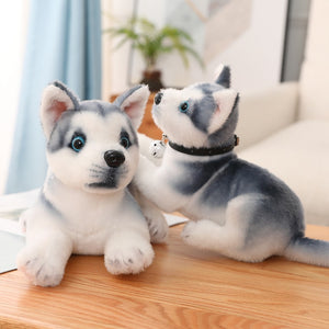 image of two husky stuffed animal plush toys on a table