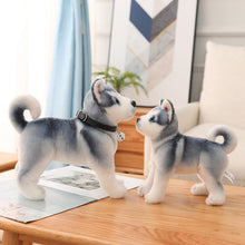 Load image into Gallery viewer, image of two adorable huskies stuffed animal plush toys