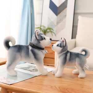image of two adorable huskies stuffed animal plush toys