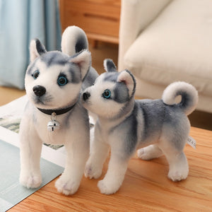 image of two adorable huskies stuffed animal plush toys