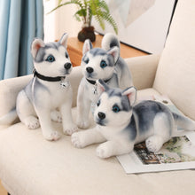 Load image into Gallery viewer, image of three husky stuffed animal plush toys
