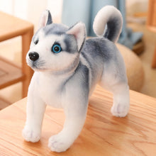 Load image into Gallery viewer, image of an adorable husky stuffed animal plush toy
