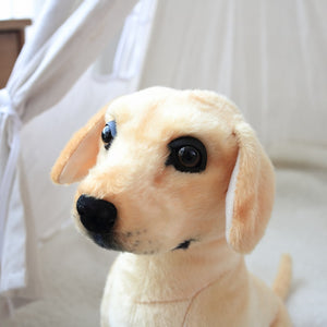 image of an adorable yellow labrador stuffed animal plush toy