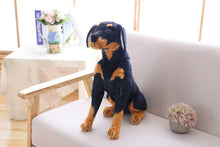 Load image into Gallery viewer, image of a rottweiler stuffed animal plush toy