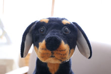 Load image into Gallery viewer, image of a rottweiler stuffed animal plush toy - face