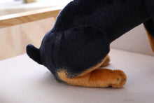 Load image into Gallery viewer, image of a rottweiler stuffed animal plush toy - hindview