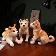 Load image into Gallery viewer, image of a three shiba inu stuffed animal plush toys