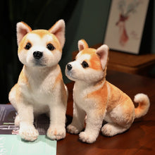 Load image into Gallery viewer, image of a two shiba inu stuffed animal plush toys