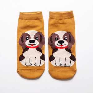 Image of a pair of ankle length beagle socks