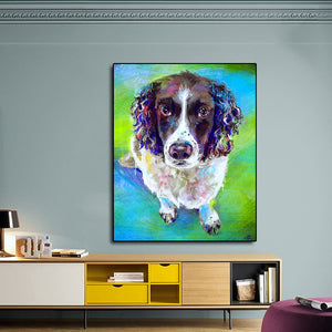 Image of a curious English Springer Spaniel poster