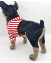 Load image into Gallery viewer, This image shows an adorable, standing Black Chihuahua Stuffed animal with big floppy ears and a small tail from its back.