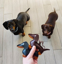 Load image into Gallery viewer, Image of two dachshunds accessories in the color black and brown