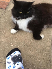 Custom Cat Socks - Personalized Cat Gifts for Cat Lovers-Accessories, Cats, Personalized Dog Gifts, Socks-6