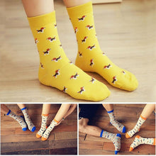 Load image into Gallery viewer, Image of beagle socks in the cutest beagle print