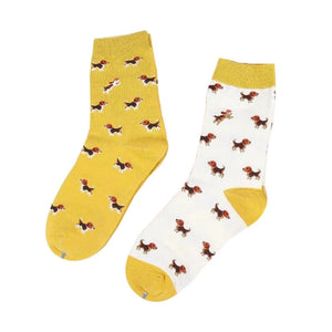 Image of two beagle socks on a white background