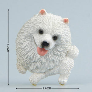 Cutest Border Collie Fridge MagnetHome DecorEskimo Dog / Pomeranian / Samoyed / Spitz - Slanting