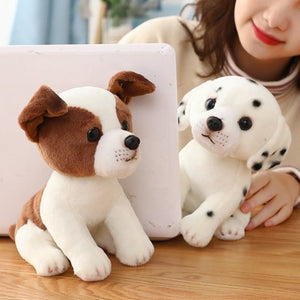 image of a woman looking at the jack russell terrier and dalmatian stuffed animal plush toy