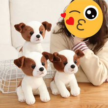 Load image into Gallery viewer, Cutest Sitting Jack Russell Terrier Stuffed Animal Plush Toy-Soft Toy-Dogs, Home Decor, Jack Russell Terrier, Soft Toy, Stuffed Animal-1