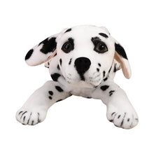 Load image into Gallery viewer, Dalmatian Love Soft Plush Tissue Box-Home Decor-Dalmatian, Dogs, Home Decor-7