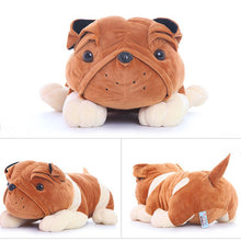 Load image into Gallery viewer, Images of english bulldog stuffed animal in orange and white