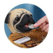 Fawn French Bulldog Love Tabletop Organiser & Piggy Bank StatueHome Decor