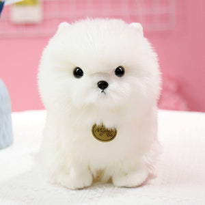 image of an adorable white pomeranian plush toy 