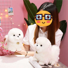 Load image into Gallery viewer, Fluffy White Pomeranian Stuffed Animal Plush Toy-Soft Toy-Dogs, Home Decor, Pomeranian, Soft Toy, Stuffed Animal-12