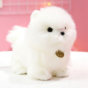 image of an adorable white pomeranian plush toy