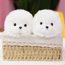 Load image into Gallery viewer, image of two adorable pomeranian stuffed animal plush toys in a basket