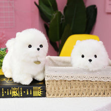Load image into Gallery viewer, image of two adorable pomeranian stuffed animal plush toys in a basket and on a book