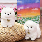 image of two pomeranian plush toys playing together