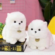 Load image into Gallery viewer, image of two pomeranian plush toys standing together with a book
