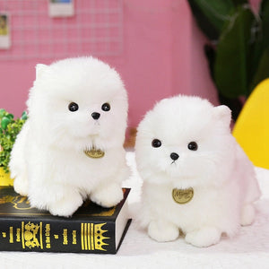 image of two pomeranian plush toys standing together with a book