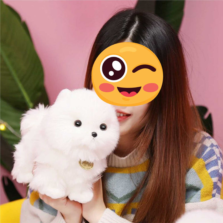 Fluffy White Pomeranian Stuffed Animal Plush Toy-Soft Toy-Dogs, Home Decor, Pomeranian, Soft Toy, Stuffed Animal-1