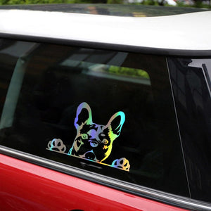 Image of peeping french bulldog car decal in the color reflective rainbow