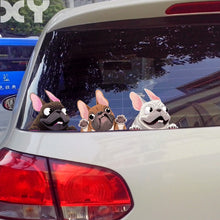 Load image into Gallery viewer, Image of frenchies in a row french bulldog car decals in the color black, fawn, and white