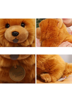 Fuzzy Chow Chow Stuffed Animal Plush Toy-Soft Toy-Chow Chow, Dogs, Home Decor, Soft Toy, Stuffed Animal-17